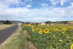 auvergne1